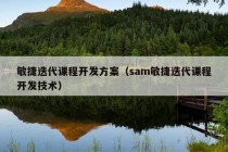 敏捷迭代课程开发方案（sam敏捷迭代课程开发技术）