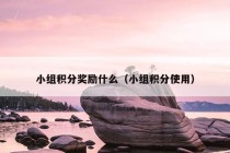 小组积分奖励什么（小组积分使用）