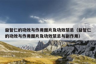 益智仁的功效与作用图片及功效禁忌（益智仁的功效与作用图片及功效禁忌与副作用）