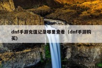 dnf手游充值记录哪里查看（dnf手游购买）