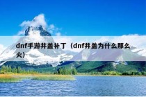 dnf手游井盖补丁（dnf井盖为什么那么火）