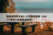 脑筋急转弯大全6-12岁题目搞笑（1000个笑死人的脑筋急转弯）