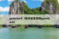 gymshark（肌肉鲨鱼官网gymshark）