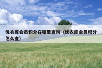 优衣库会员积分在哪里查询（优衣库会员积分怎么查）