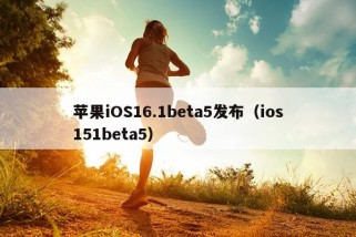 苹果iOS16.1beta5发布（ios151beta5）