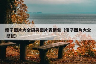 傻子图片大全搞笑图片表情包（傻子图片大全 壁纸）