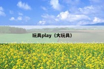 玩具play（大玩具）