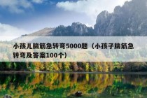 小孩儿脑筋急转弯5000题（小孩子脑筋急转弯及答案100个）