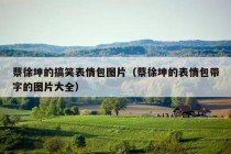 蔡徐坤的搞笑表情包图片（蔡徐坤的表情包带字的图片大全）