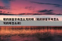 敏的拼音字母怎么写的呀（敏的拼音字母怎么写的呀怎么读）