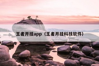 王者开挂app（王者开挂科技软件）