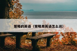 策略的英语（策略用英语怎么说）