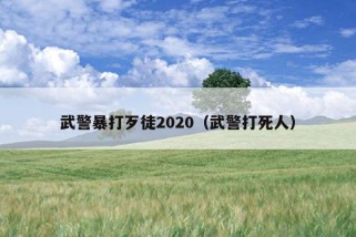 武警暴打歹徒2020（武警打死人）