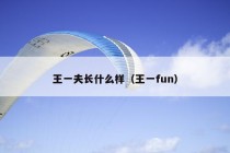 王一夫长什么样（王一fun）