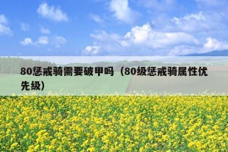 80惩戒骑需要破甲吗（80级惩戒骑属性优先级）