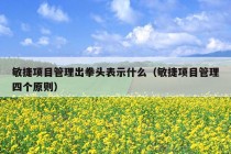 敏捷项目管理出拳头表示什么（敏捷项目管理四个原则）