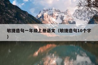 敏捷造句一年级上册语文（敏捷造句10个字）