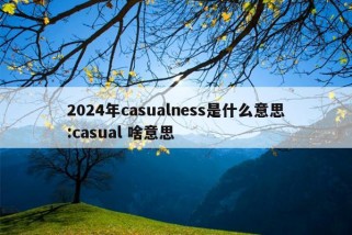 2024年casualness是什么意思:casual 啥意思