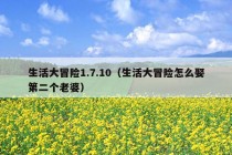 生活大冒险1.7.10（生活大冒险怎么娶第二个老婆）