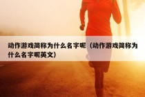 动作游戏简称为什么名字呢（动作游戏简称为什么名字呢英文）