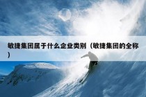 敏捷集团属于什么企业类别（敏捷集团的全称）