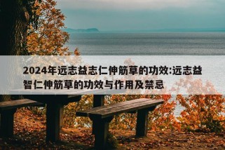 2024年远志益志仁伸筋草的功效:远志益智仁伸筋草的功效与作用及禁忌