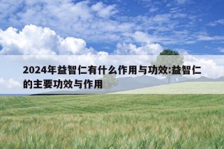 2024年益智仁有什么作用与功效:益智仁的主要功效与作用