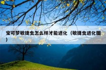 宝可梦敏捷虫怎么样才能进化（敏捷虫进化图）