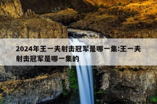 2024年王一夫射击冠军是哪一集:王一夫射击冠军是哪一集的