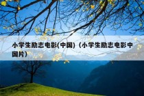 小学生励志电影(中国)（小学生励志电影中国片）