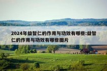 2024年益智仁的作用与功效有哪些:益智仁的作用与功效有哪些图片