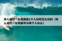 双人成行一台电脑能2个人玩吗怎么玩的（双人成行一台电脑可以两个人玩么）