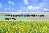 2024年敏捷项目管理简称:敏捷项目管理简称叫什么