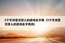 5个字诗意又撩人的游戏名字男（5个字诗意又撩人的游戏名字男孩）