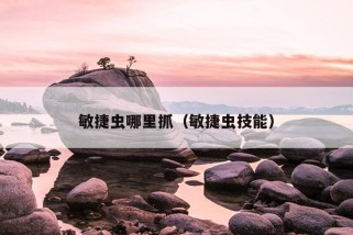 敏捷虫哪里抓（敏捷虫技能）