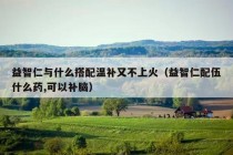 益智仁与什么搭配温补又不上火（益智仁配伍什么药,可以补脑）