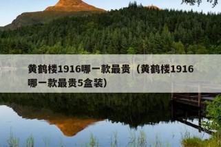 黄鹤楼1916哪一款最贵（黄鹤楼1916哪一款最贵5盒装）