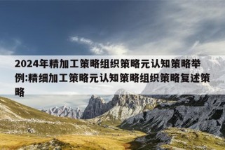 2024年精加工策略组织策略元认知策略举例:精细加工策略元认知策略组织策略复述策略