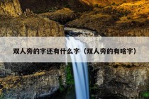 双人旁的字还有什么字（双人旁的有啥字）