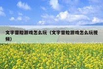 文字冒险游戏怎么玩（文字冒险游戏怎么玩视频）