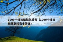 1000个爆笑脑筋急转弯（1000个爆笑脑筋急转弯多答案）