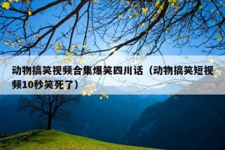 动物搞笑视频合集爆笑四川话（动物搞笑短视频10秒笑死了）