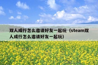 双人成行怎么邀请好友一起玩（steam双人成行怎么邀请好友一起玩）