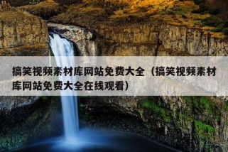 搞笑视频素材库网站免费大全（搞笑视频素材库网站免费大全在线观看）