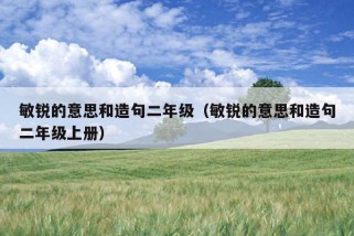 敏锐的意思和造句二年级（敏锐的意思和造句二年级上册）