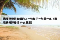 拂堤杨柳醉春烟的上一句和下一句是什么（拂堤杨柳醉春烟 什么意思）