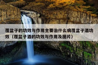 覆盆子的功效与作用主要治什么病覆盆子酒功效（覆盆子酒的功效与作用及图片）