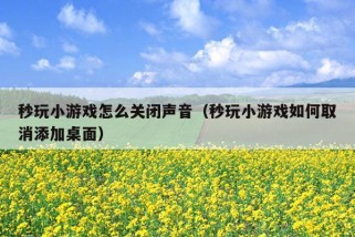 秒玩小游戏怎么关闭声音（秒玩小游戏如何取消添加桌面）