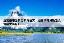 运营策略分析怎么写范文（运营策略分析怎么写范文简短）