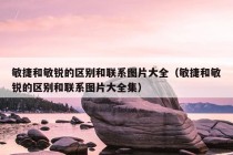 敏捷和敏锐的区别和联系图片大全（敏捷和敏锐的区别和联系图片大全集）